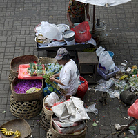 Photo de Bali - Balade, Garuda et spectacle